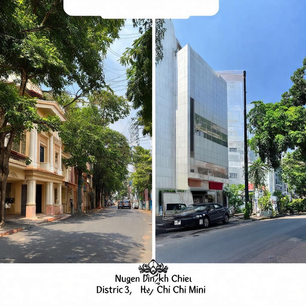 Biệt thự cổ kính bên cạnh tòa nhà hiện đại trên đường Nguyễn Đình Chiểu quận 3, bóng cây xanh mát.